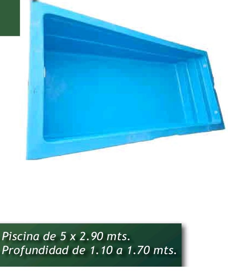Piscina de fibra de vidrio 5,00 × 2,90 m